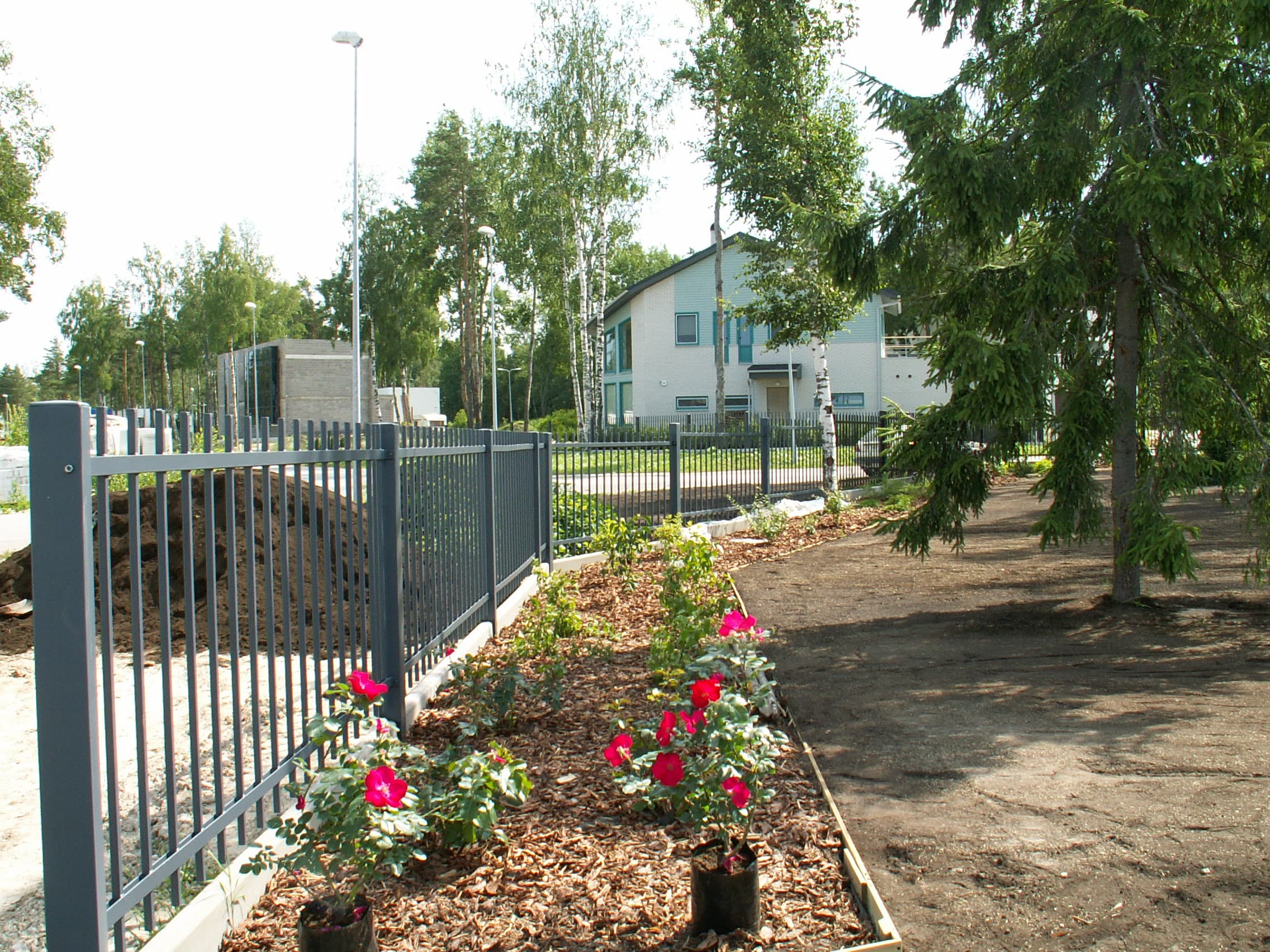 Metallaed (aed 15 2)