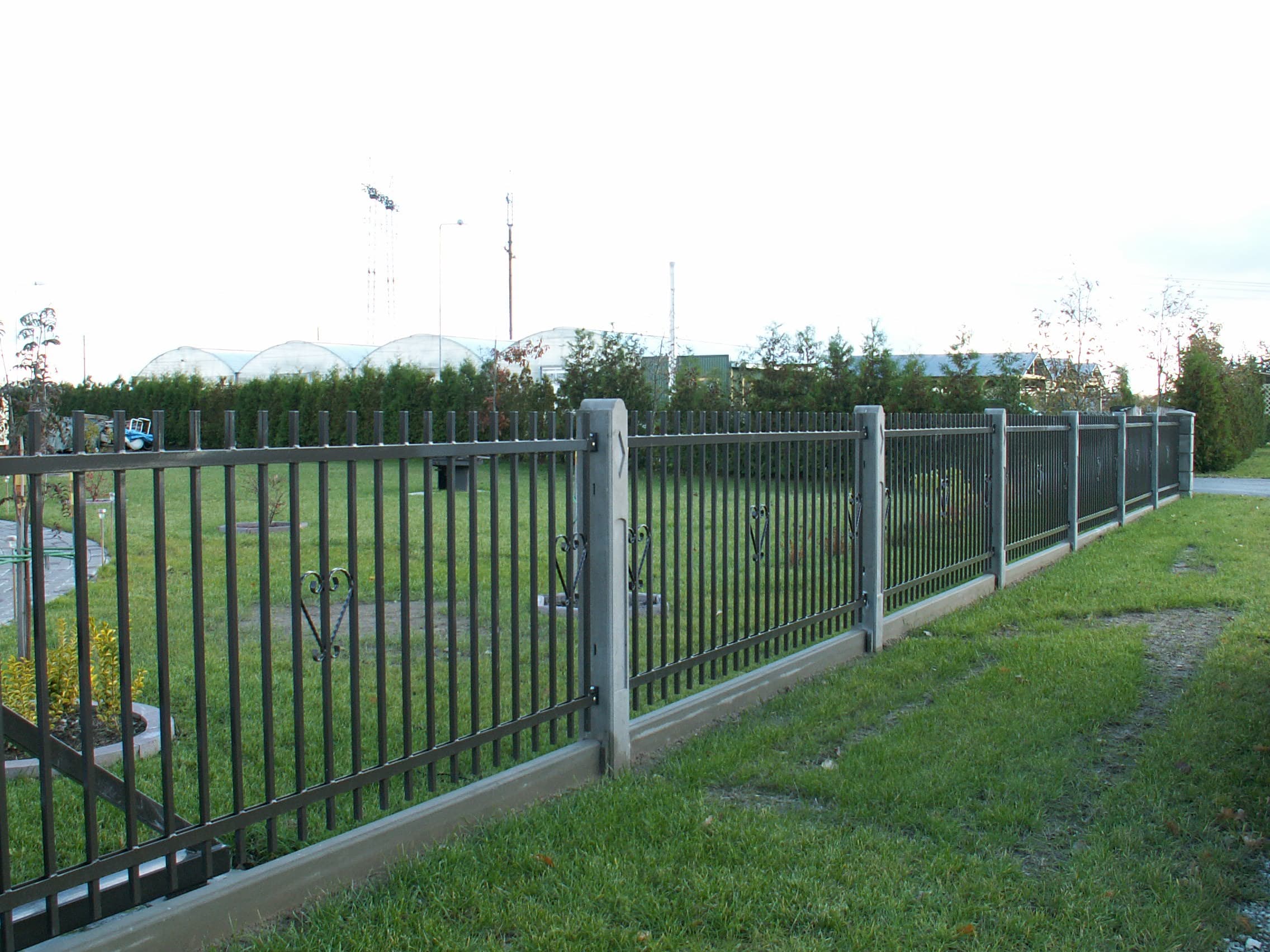 Metallaed (pict0002)