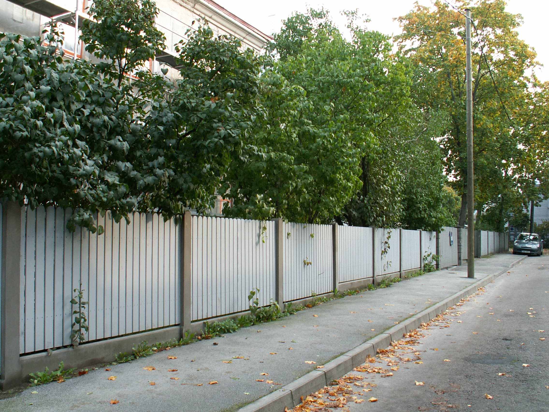 Vertikaalne aed (pict0034)